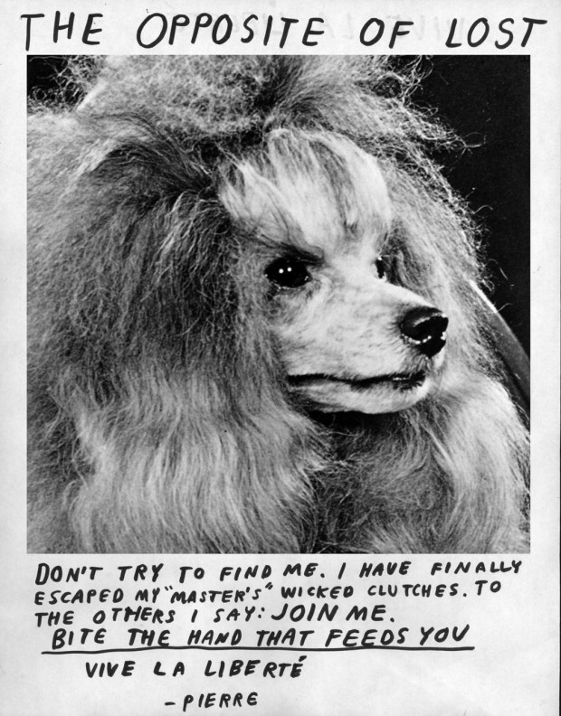 oppoaiteoflost-620x792